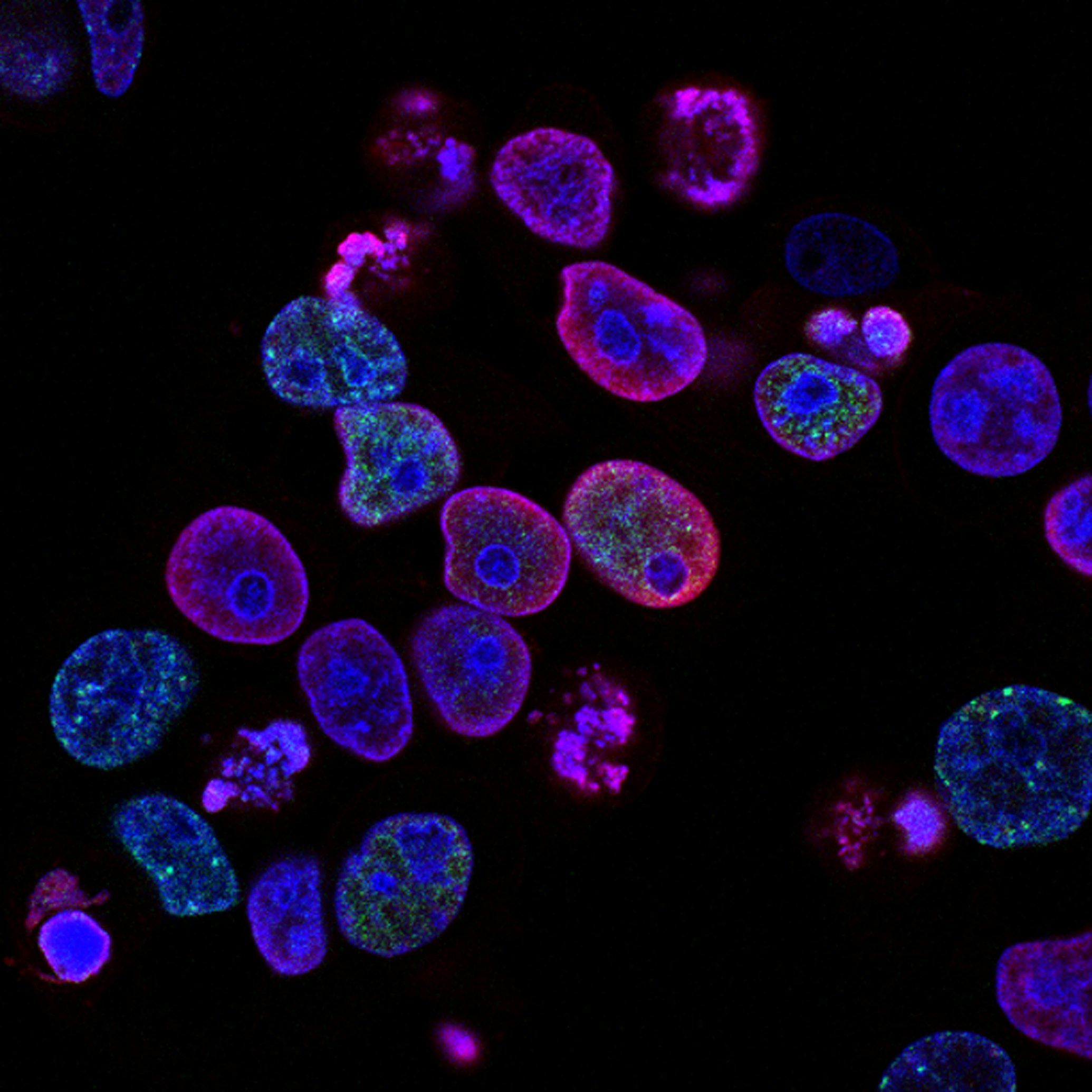 China's Biotech Supply Chain Advances: How the US Redraws the Safety Borders of the Biomedical Industry