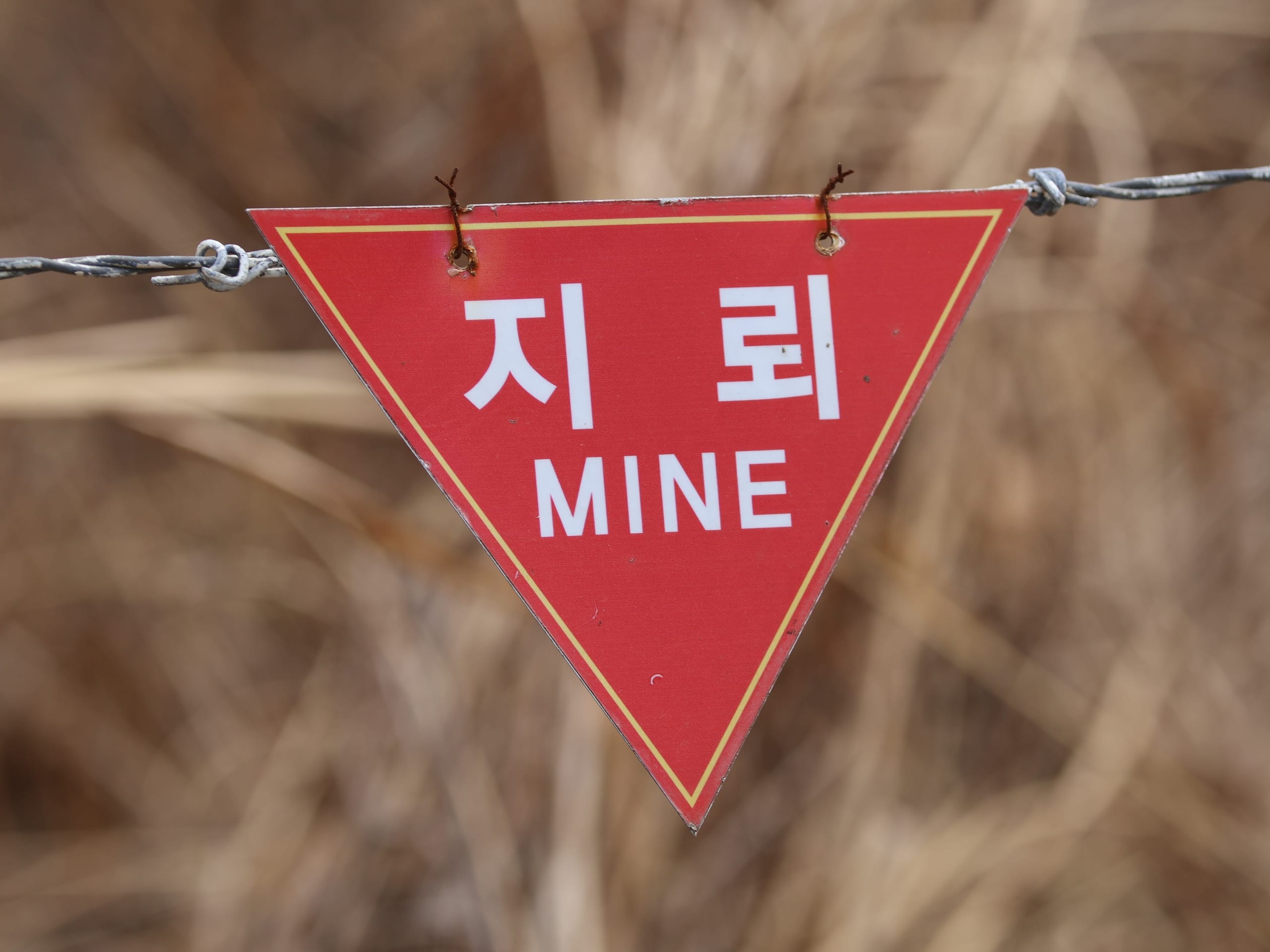 After the DMZ Mine Blast: Seoul's 'Corresponding Measures' and the Risk of Escalation in Korea